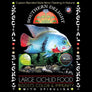 Large Cichlid Food 2 lb. bag