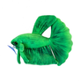 GreenPleco Green Betta - 6"