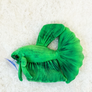 GreenPleco Green Betta - 6"
