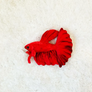 GreenPleco Red Betta Plushie - 6"