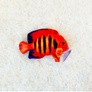 GreenPleco Flame Angel Plushie - 6"