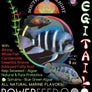 Southern Delight Powerfeed 2 Bottle Pack - 2.25lbs