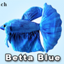 GreenPleco Blue Betta - 6 inch
