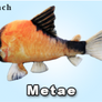 GreenPleco Metai Corydoras
