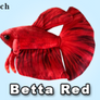GreenPleco Red Betta Plushie - 6"