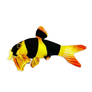 GreenPleco Clown Loach Plushie