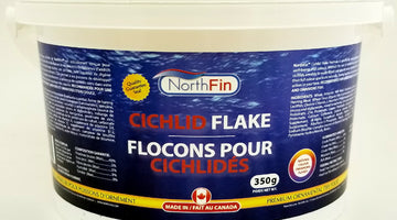 NORTHFIN FLAKE IS HERE!!!  CELEBRATION SALE!!!