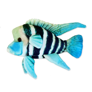 GreenPleco Frontosa Plushie