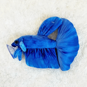 Betta 2024 fish plush
