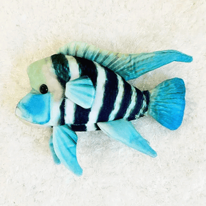 GreenPleco Frontosa Plushie