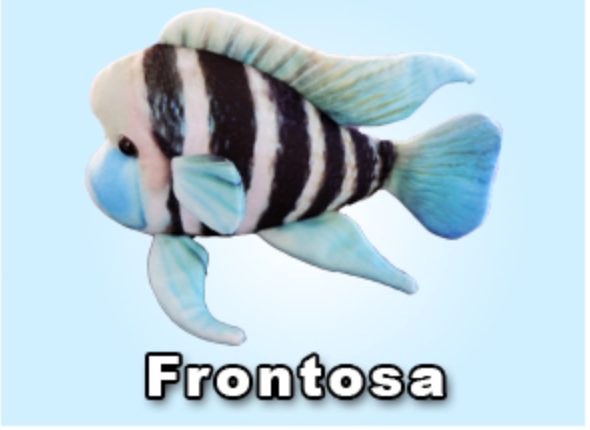 GreenPleco Frontosa Plushie