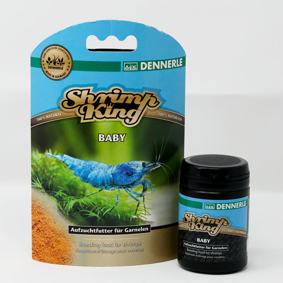 Shrimp King Baby